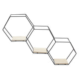 Modern Black Hexagon Wall Shelf with Iron Frame