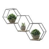 Modern Black Hexagon Wall Shelf with Iron Frame