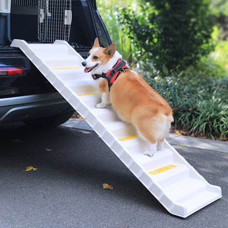 White Folding Portable Dog Pet Stairs Ramp