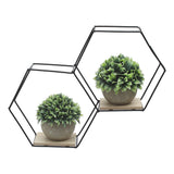 Black Hexagon Wall Shelf with Iron Frame